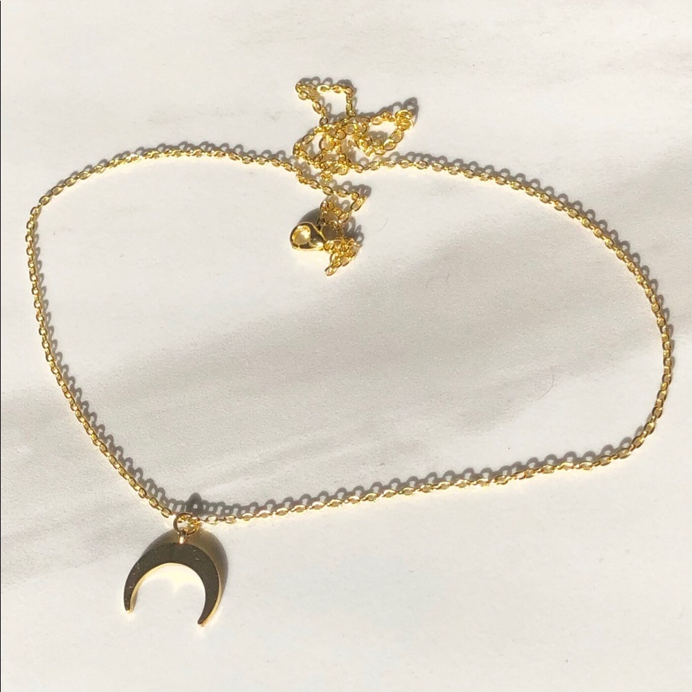 Crescent Moon 🌙 Necklace